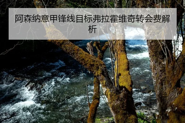 阿森纳意甲锋线目标弗拉霍维奇转会费解析